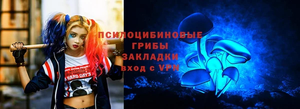 стафф Алексин