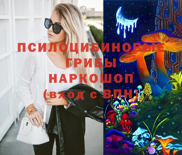 стафф Алексин