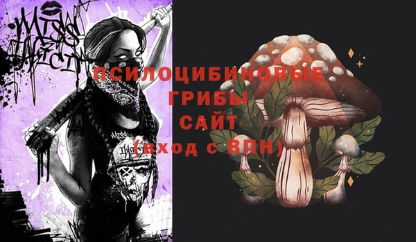 ешки Алексеевка