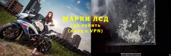 стафф Алексин